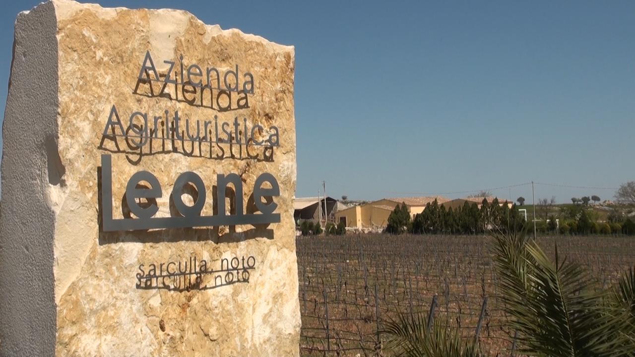 Vila Agriturismo Leone Testa dellʼAcqua Exteriér fotografie